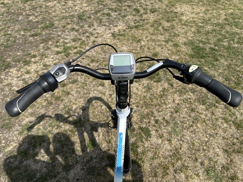 Rower gazelle