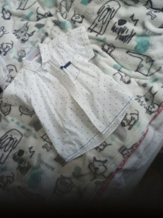 Koszula Cool Club dla chłopca