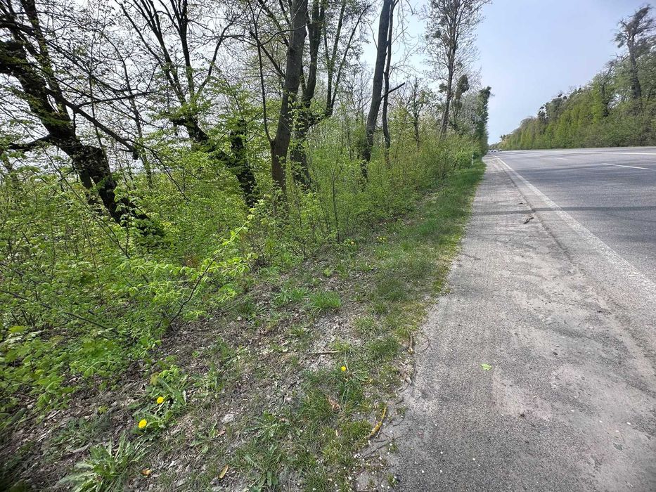 Продам фасадну ділянку в Ксаверівці