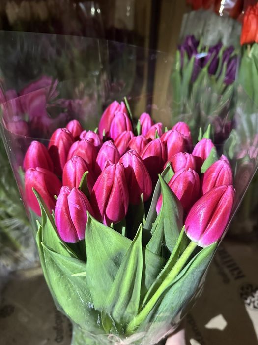 Предзаказ тюльпанів до 8 березня, свіжі квіти за вигідною ціною.Оформл