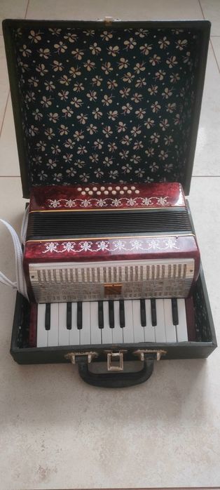 AKORDEON Malisz + walizka