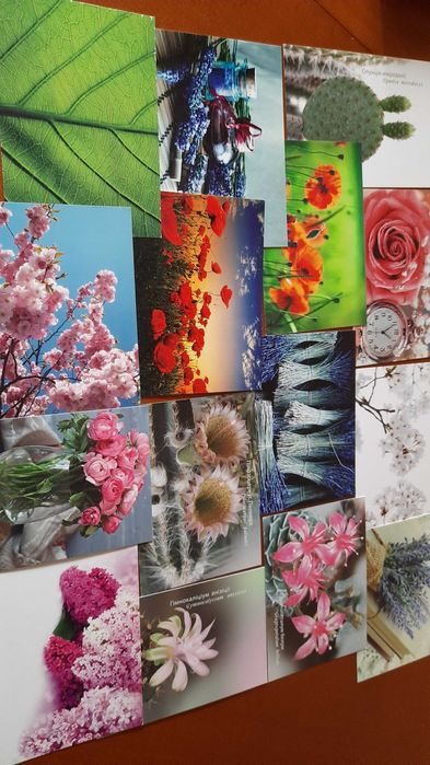 Листівки з квітами