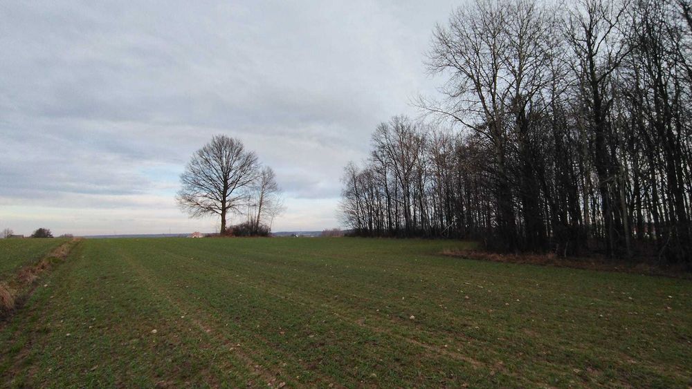 Sprzedam działkę rolna