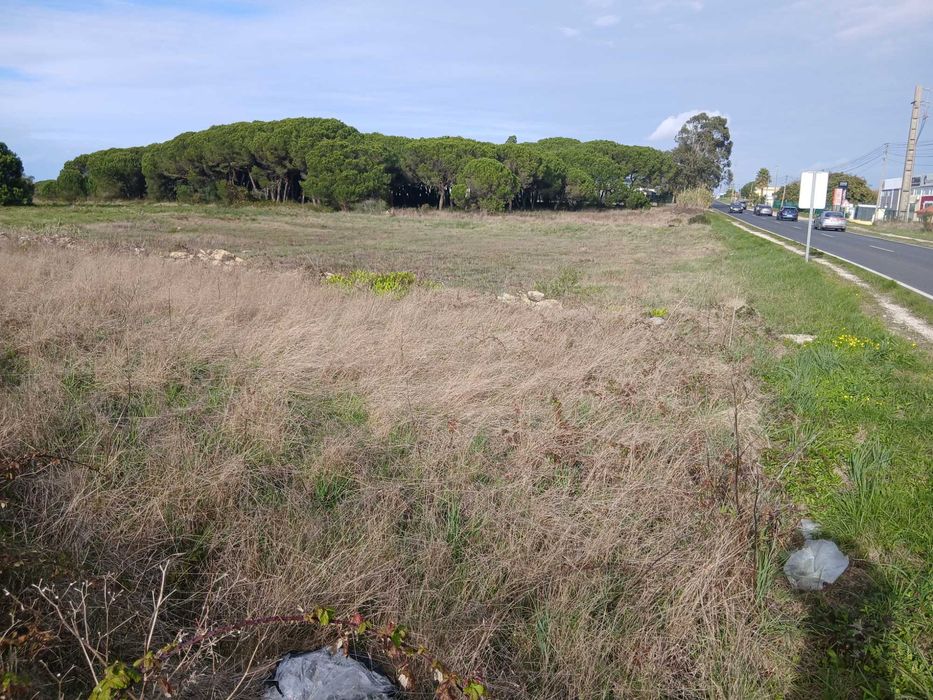 Terreno Industrial – 14.000 m² – Terrugem, Sintra
