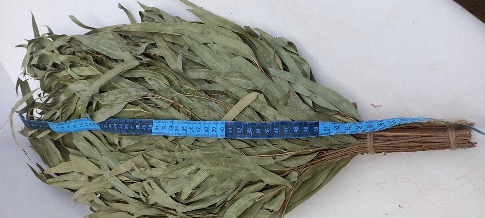 Віники, Дуб Береза звіробій, пижма, м'ята, Трави для бані  1Б.12/63см