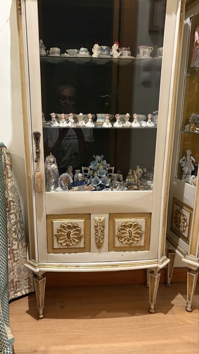Vendo vitrine (2)
