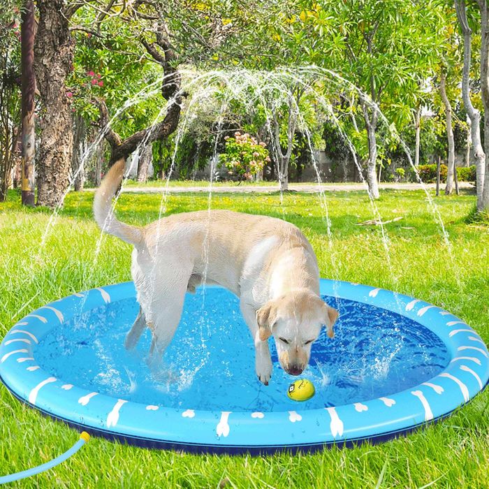 NOVO - Piscina para Cão com Repuxo 140 e 170cm, spray pad