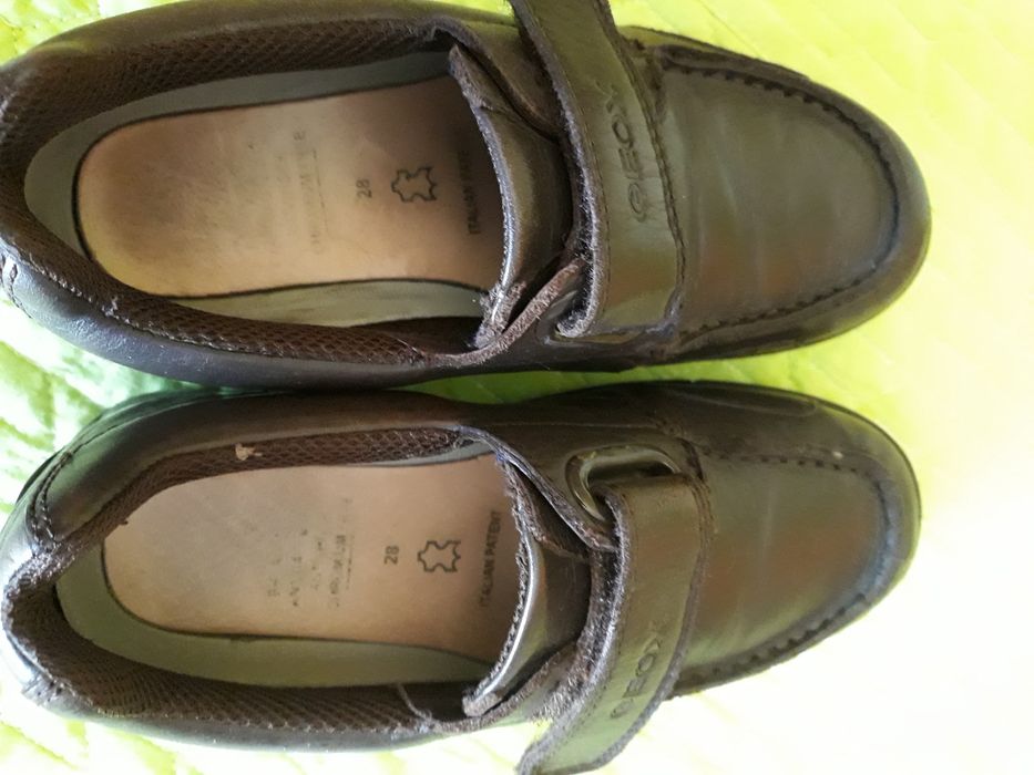 Sapatos Geox criança N28