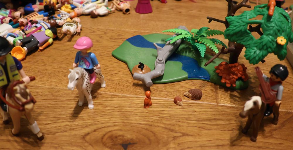 Playmobil Country Przejażdżka konna 5685