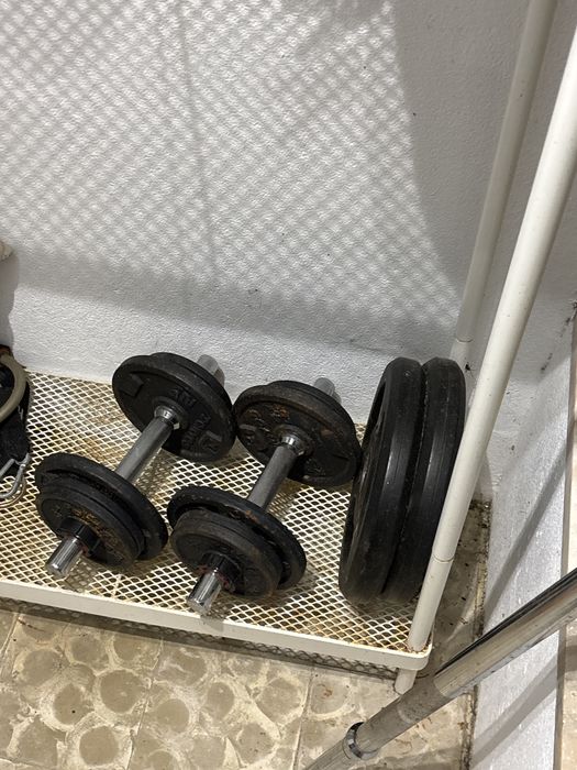 Halteres varios439919751139184644