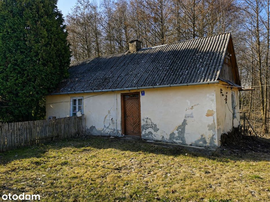 Siedlisko z potencjałem – działka 3835 m² | Chmielnik, gm. Bełżyce - Widok 6