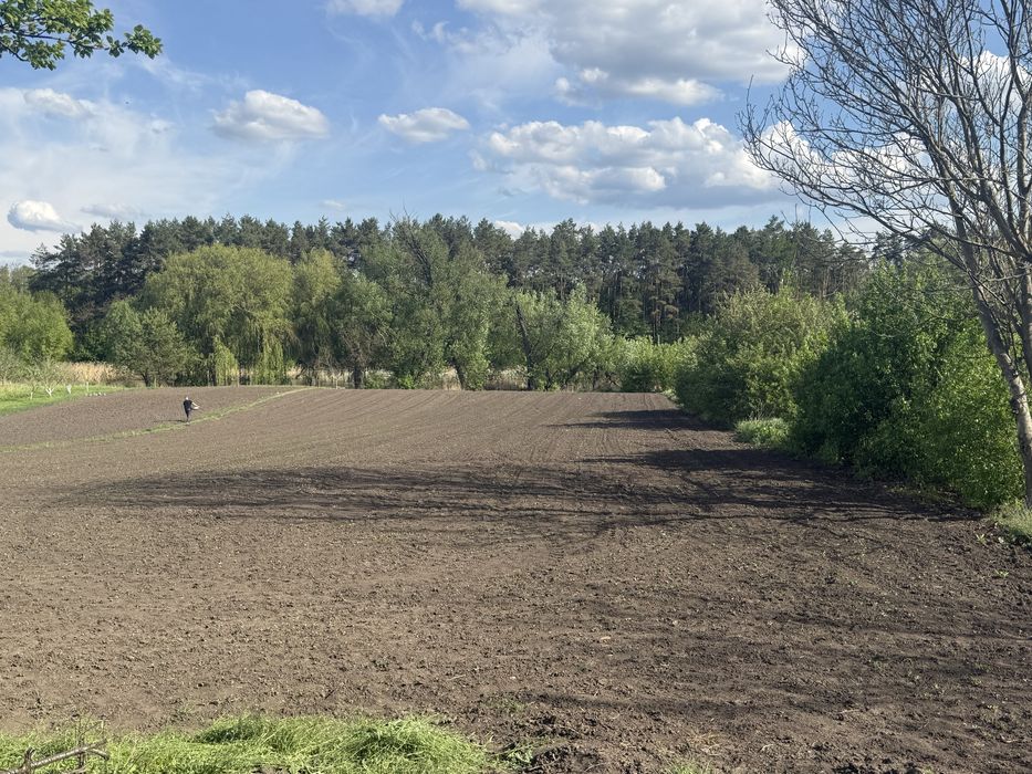 Приватний будинок в селі Вікентіївка, 40 км від Вінниці