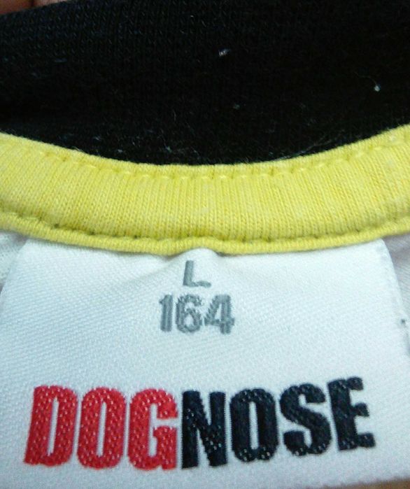 DOGNOSE Два Дракона футболка