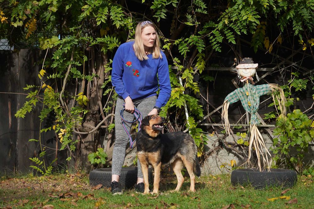 Stryszek - mega fajny psiak szuka domu