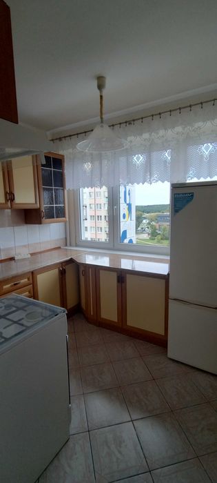 Zdjęcie 4