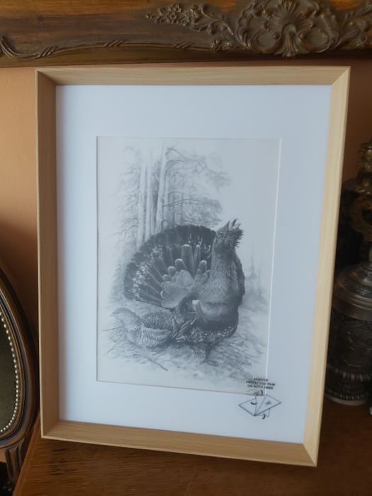 Piękna DUŻA grafika myśliwska łowiecka Głuszec. Prezent dla myśliwego