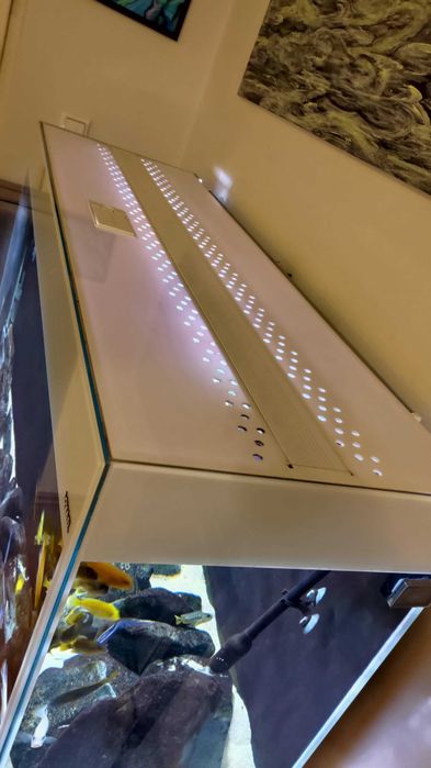 akwarium Aquael Glossy ST 120 + szafka 260 litrów + gratisy