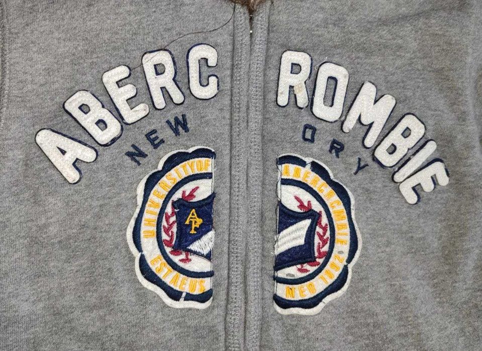 зіп худі abercrombie y2k alaska