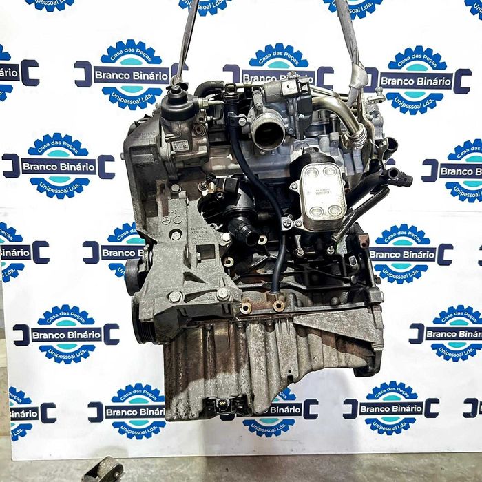 Motor Volkswagen 2.0 TDI (cgl)