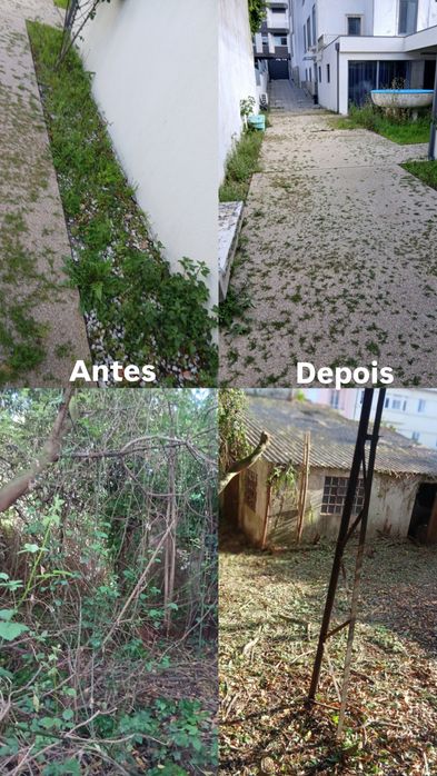 Trabalhamos com limpeza de terrenos e jardinagem