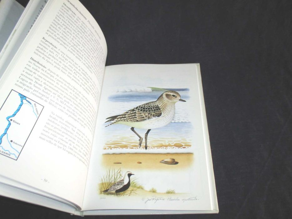Livro Aves da Costa Alentejana José Projecto Miguel Lecoq
