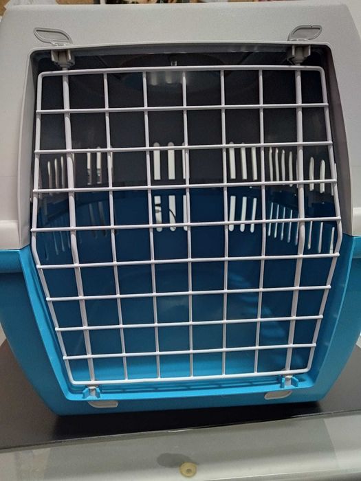 Conjunto caixa de transporte, caixa de areia, pá para areia e escova