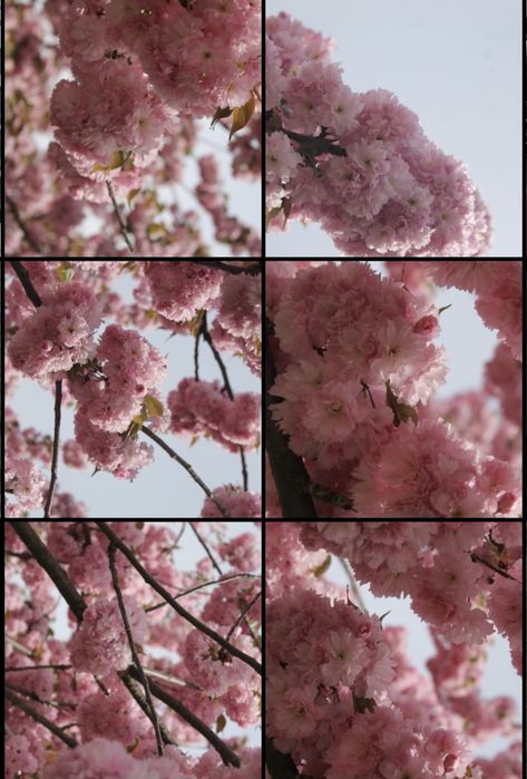 Фотоапарат Canon 1100D