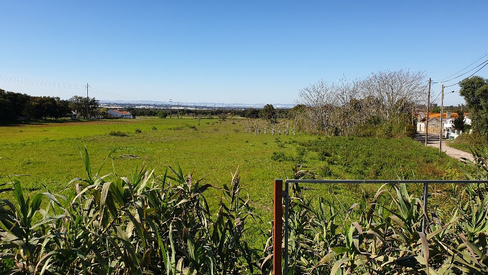 Terreno 1,8 ha parcialmente urbanizável - Quinta do Anjo - Cabanas
