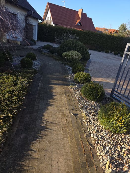 Profesjonalne mycie kostki brukowej