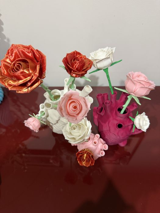 Vasos/ jarras coração humano anatómico