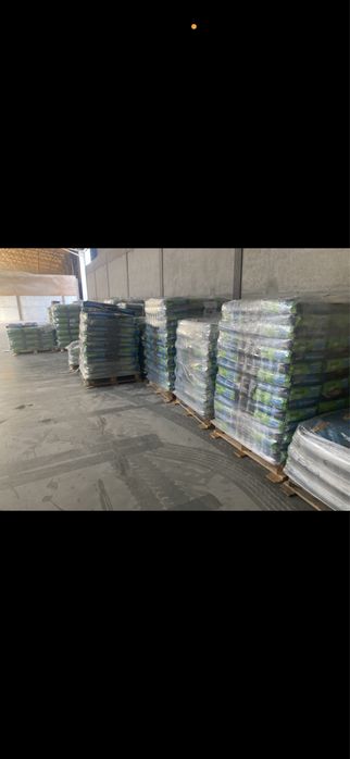 Nasiona kukurydzy DKC dekalb bayer