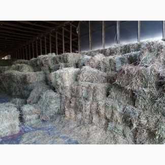 Сено.   Сіно з люцерни та сіно лугове.