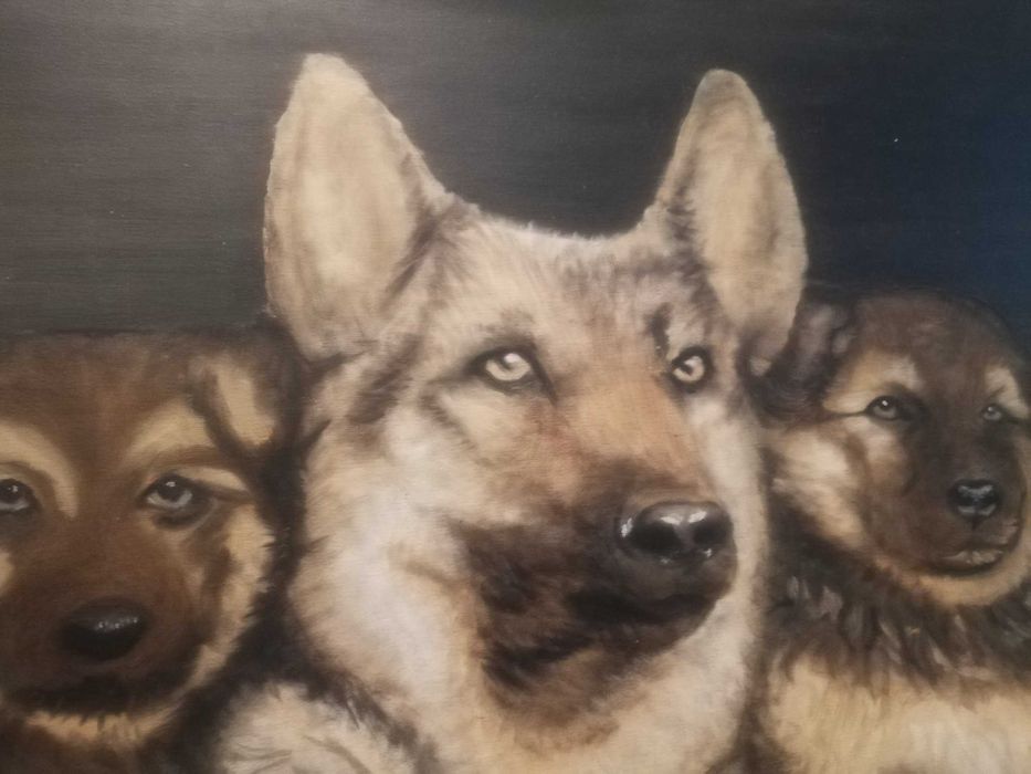 Duży obraz psy owczarek niemiecki wilczur szczenięta, pies na płótnie