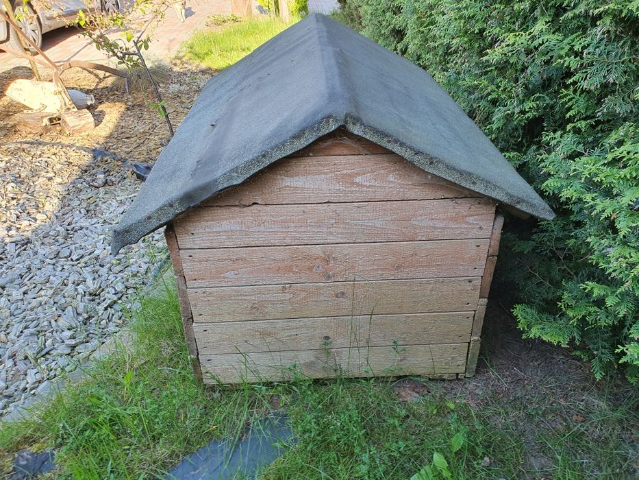 Ocieplana buda dla średniego psa