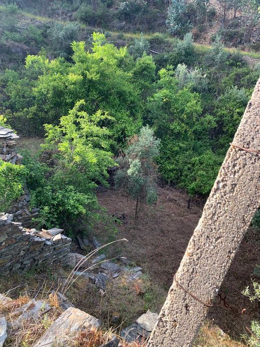 Terreno com palheiro em Ruinas
