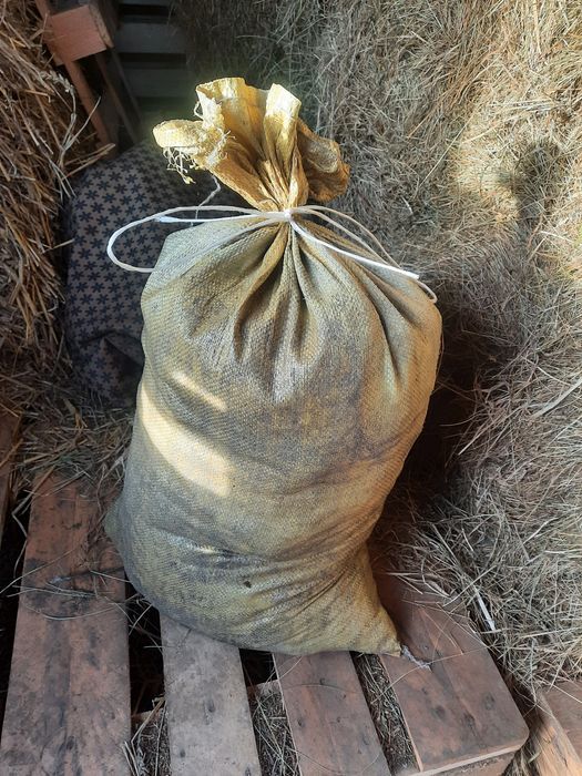 Obornik koński nawóz