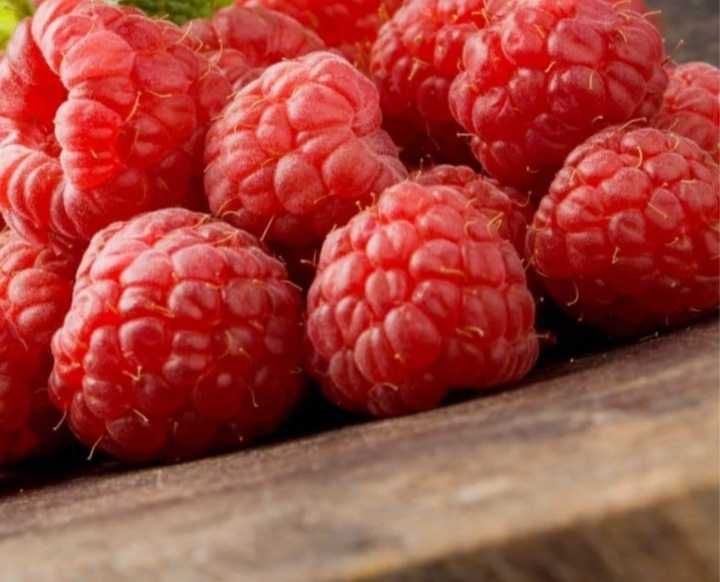 Maliny bez sztucznych nawozów