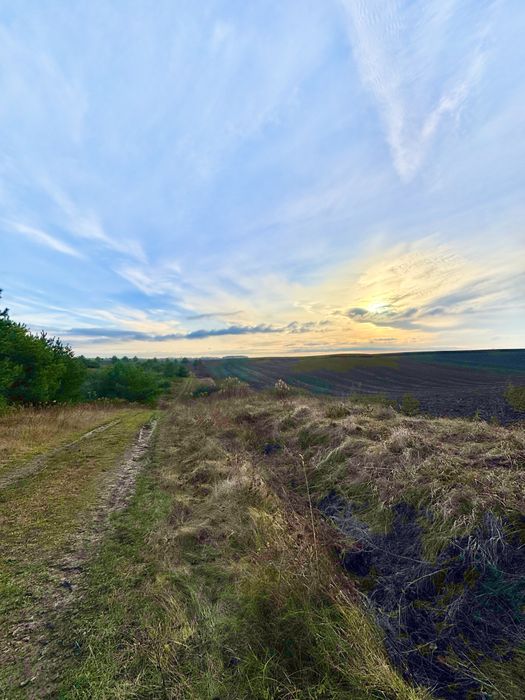 ‼️Продається ПАЙ Колоденка за хорошою ціною‼️