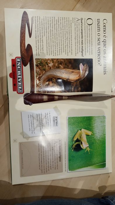 2 Livros Guia do explorador "Animais espantosos"; "Os dinossauros...".