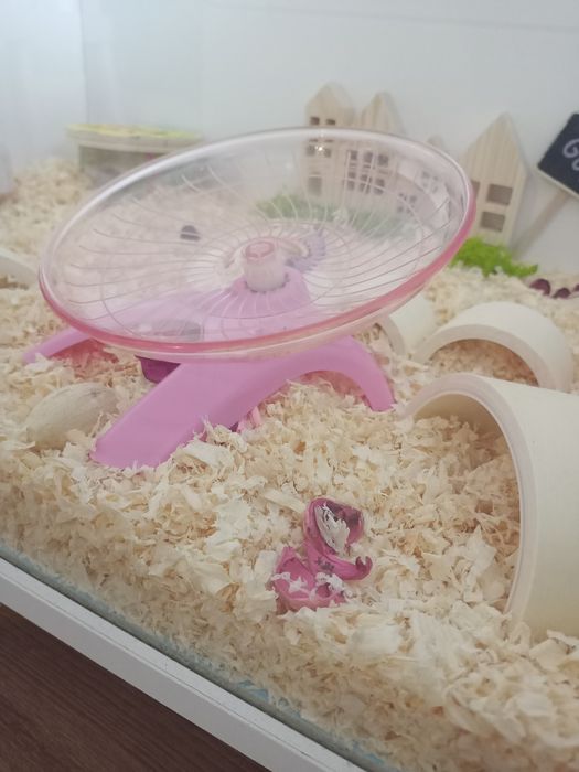 Karuzela dla chomika