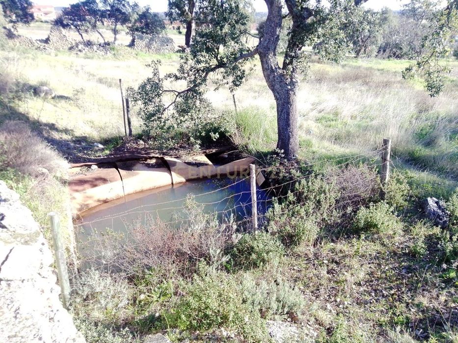 Terreno Rústico em Penha Garcia, Idanha-a-Nova| Castelo Branco