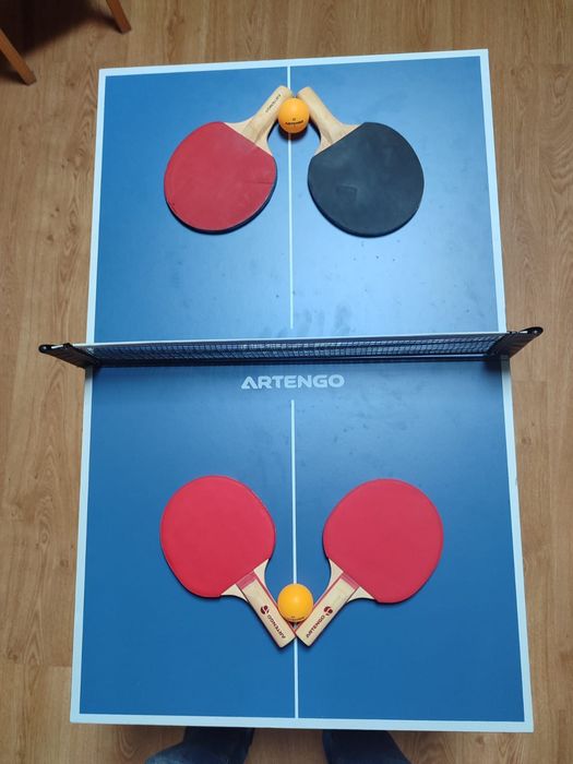 Mini Mesa Ping Pong