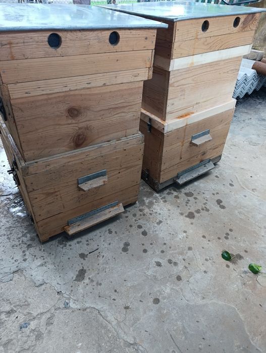 Продам двухкорпусные улики