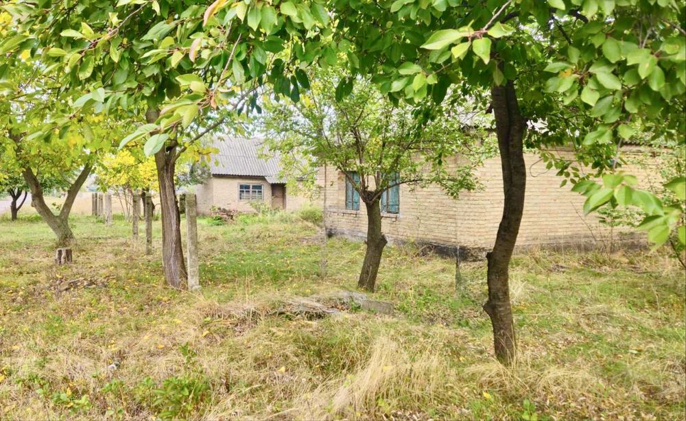 Будинок 50м2 + 24 сотки, Черкаська обл