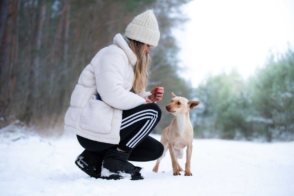 Azuki - piękna, delikatna suczka potrzebuje swojego człowieka