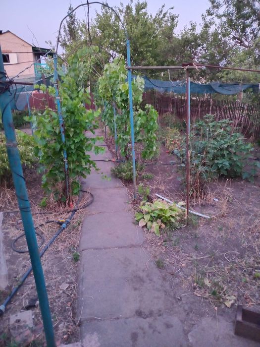 Продається дача в садовому товаристві Айстра