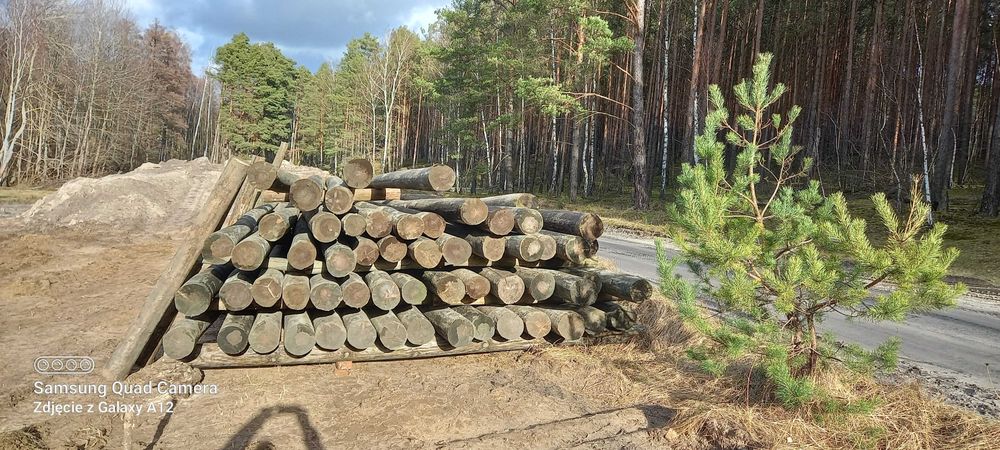 Słupy drewniane impregnowane