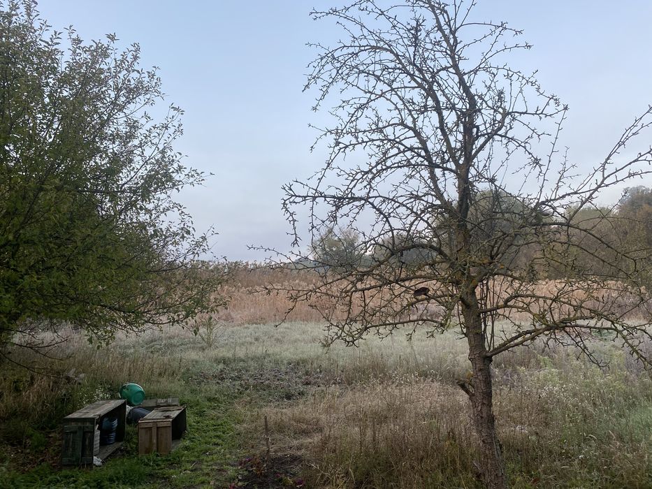 Будинок в с.Вільне, Самарівський район