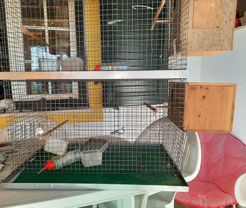 Vendo gaiolas para pássaros