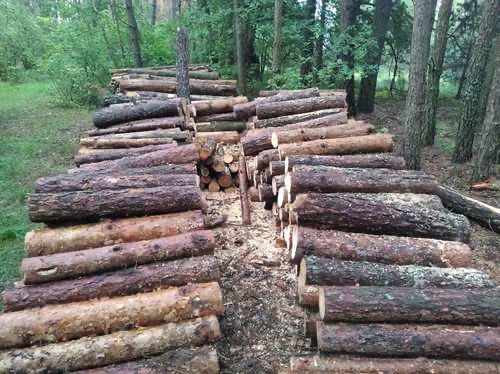 Продам дрова твердих та мʼягких порід